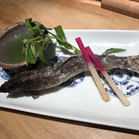 小割烹おはし 恵比寿 -  小割烹おはし 恵比寿 -