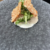 TRATTORIA CREATTA - 