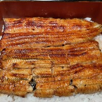 つきじ宮川本廛 - 