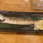 フィッシュ オン ディッシュ ロリー - 