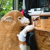 アジト エヌ