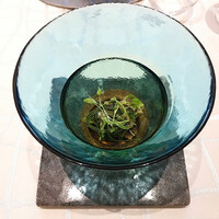 クイントカント - 