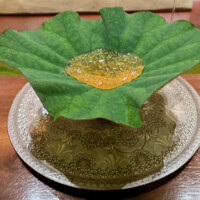 緒乃 - 