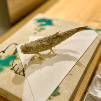 鮨天知州 - 天麩羅　旬のおまかせ5種
