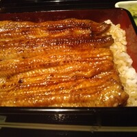 うなぎ 目白ぞろ芽 - 
