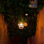 イントムカレー - 暖簾をくぐると、こんな感じ。