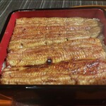 Unagi Kanona - 