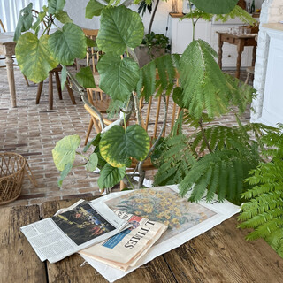 パブロバスタジオ_2