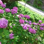 おおつき - Pから見おろすとこんな感じ