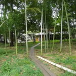 オイモカフェ - 駐車場から見た風景