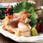 Live surf clam sashimi