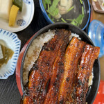 別館山田 - 鰻丼　並