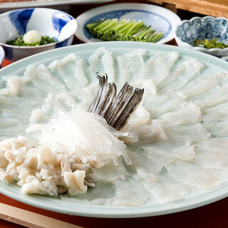 Enjoy fresh, high-quality tiger puffer fish as sashimi or in a miso-flavored hot pot.