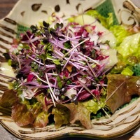 新宿 鉄板焼き YOKOTA - 