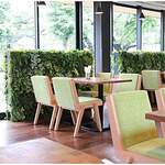 Evergreen cafe restaurant EBISU - 