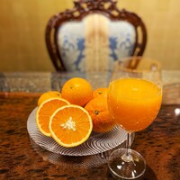 生搾り柑橘ジュース（季節限定）