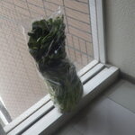 片桐農園マーケット - 