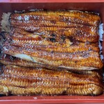 うなぎ亭 友栄 - うな重　6600圓（税込）