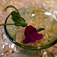 ブルガズ アダ - 