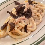 バンデルオーラ - 