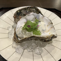 京都 三条 やま平 - 岩牡蠣