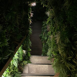 肉割烹 ASATSUYU - 