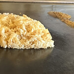 鉄板焼きINAGAKI亭 - 