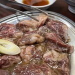 東京園 - ハラミ(2人前)