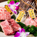 Kuroge Wagyuu Ittougai Honkaku Wagyuu Yakiniku Koshitsu Seikouen Oomiyaten - 