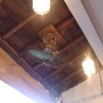 天 - テラス席の渋い扇風機