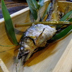 田吾作 - 天然鮎