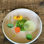 Terroir愛と胃袋 - 