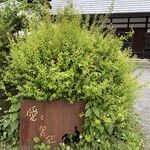 Terroir愛と胃袋 - 