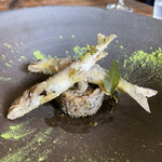 Terroir愛と胃袋 - 