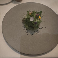ARMONICO - 