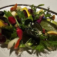 レフェルヴェソンス - 