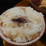 和のごはん みかづき - ご飯大盛り・ゆかり付き