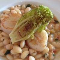 Benoit Alain Ducasse - メイン・・・ホタテ貝のポワレ、白インゲン豆の煮込み
