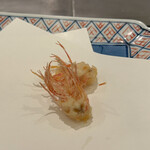 Tempura Tenshiba - 