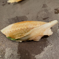 江戸心 山ぼうし - 