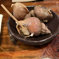 江戸心 山ぼうし - 