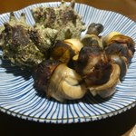 産直屋 たか - （再訪１）姫サザエ