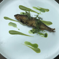 TRATTORIA CREATTA - 