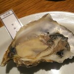 ニュー貝殻荘 - 