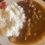 酪 - 鹿肉のアジアンカレー。臭みもなく美味しい！