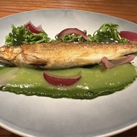 トムクリオーザ - 