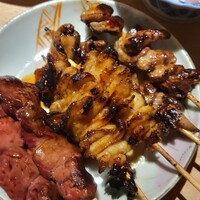 始祖鳥 - 