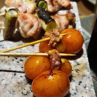始祖鳥 - 