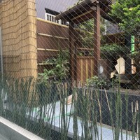 蛇の市 本店 - 