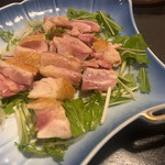Nagoya - 薩摩地鶏たたき